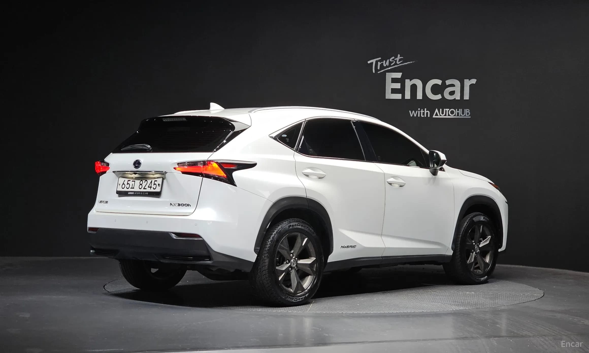NX300h