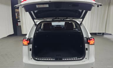 NX300h