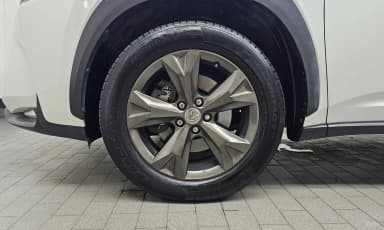 NX300h