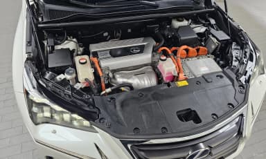 NX300h