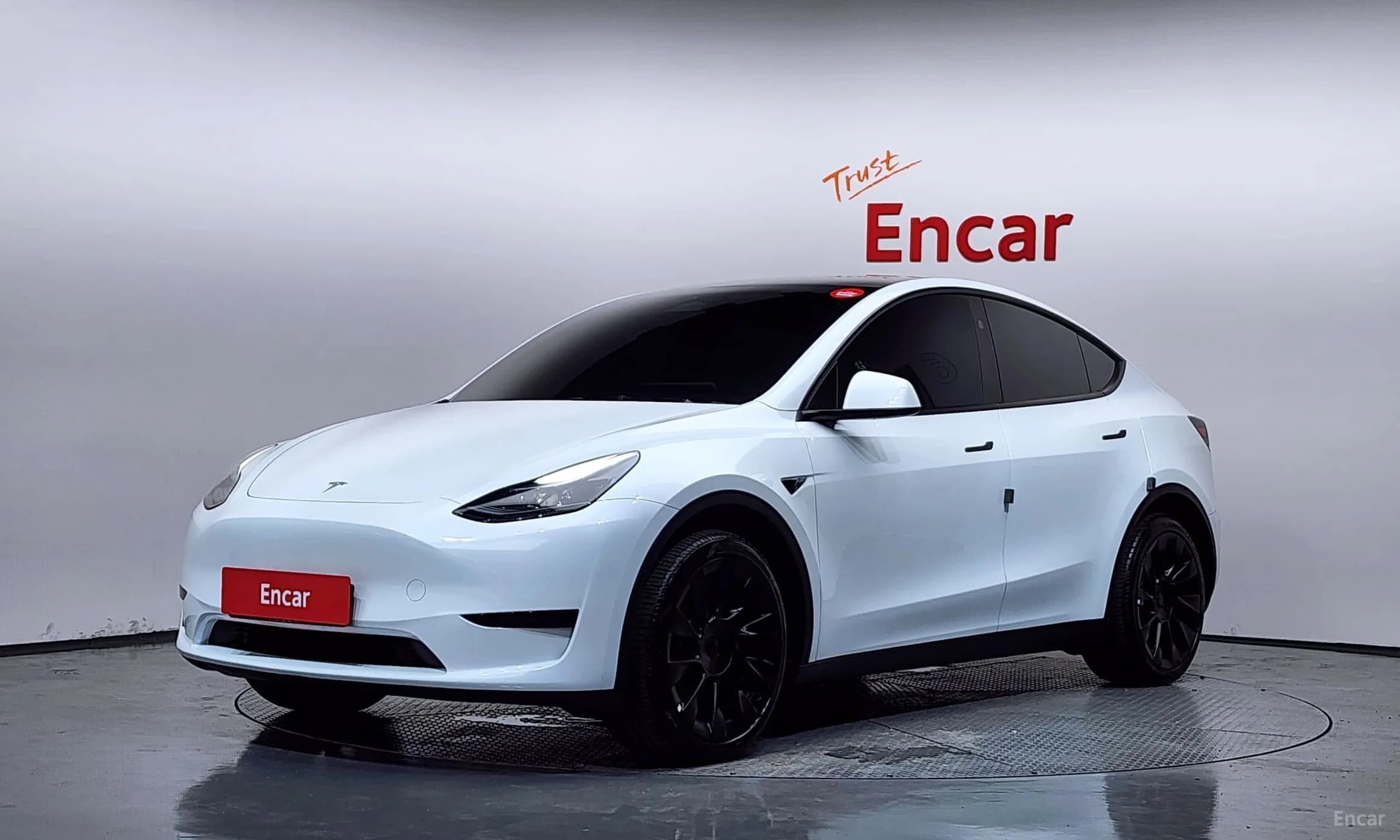 Model Y