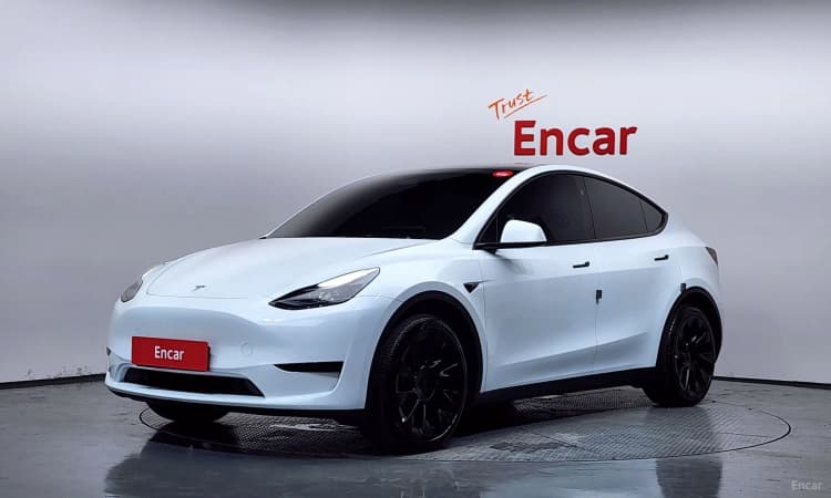 Model Y