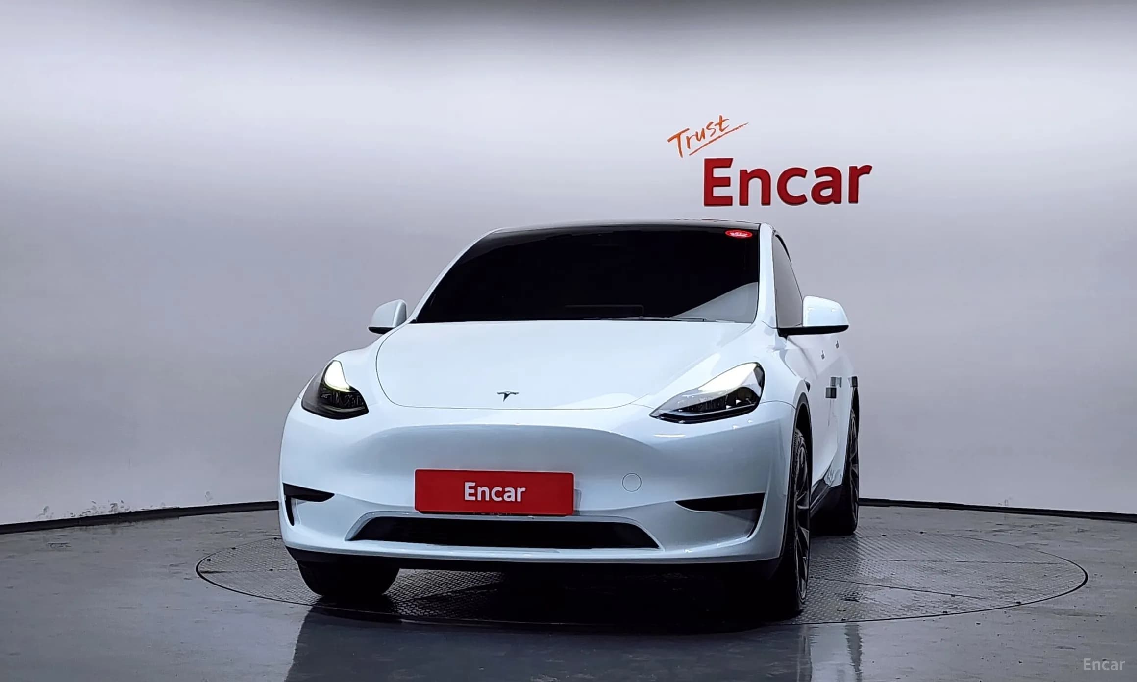Model Y