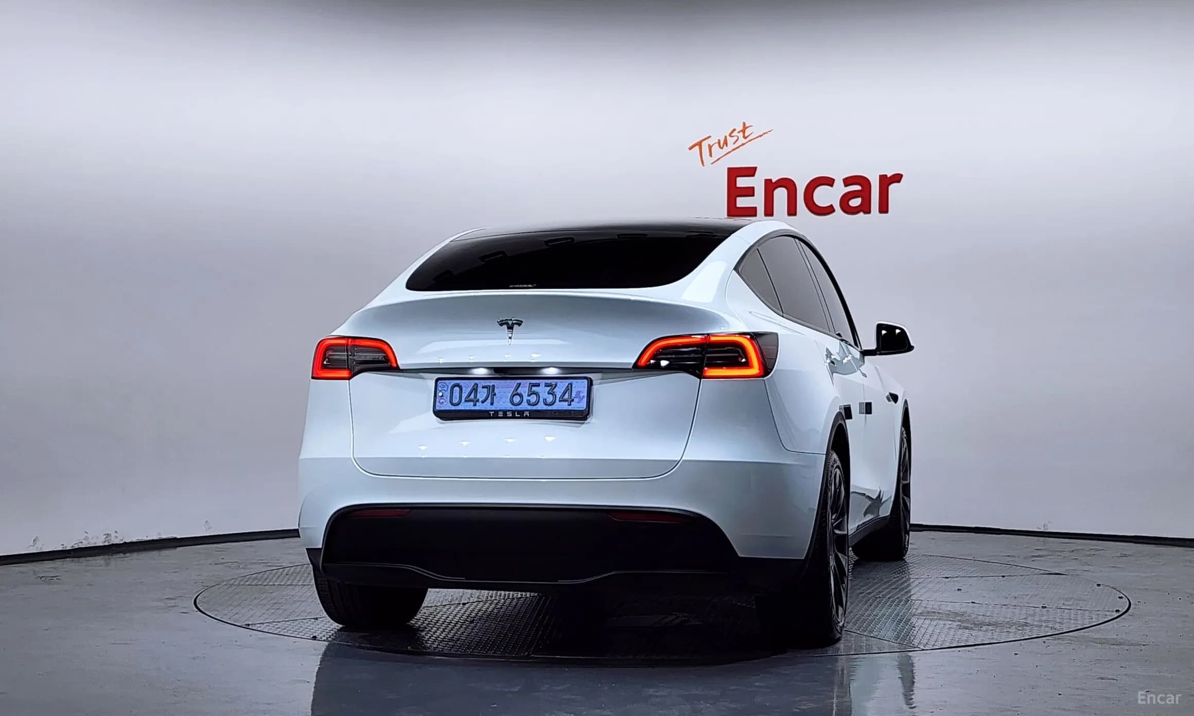 Model Y
