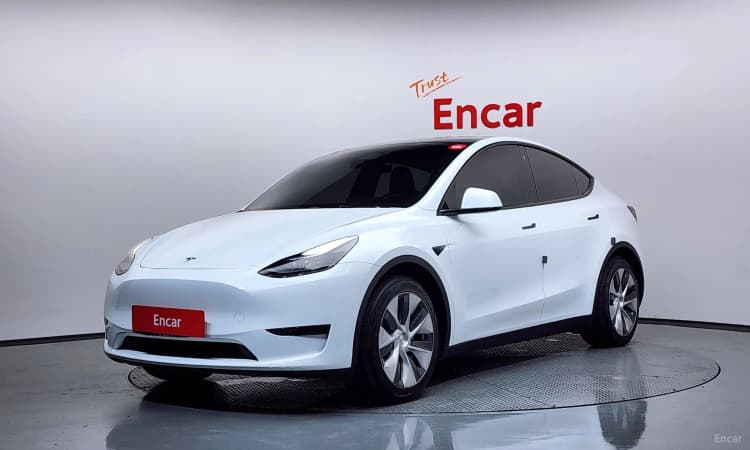 Model Y