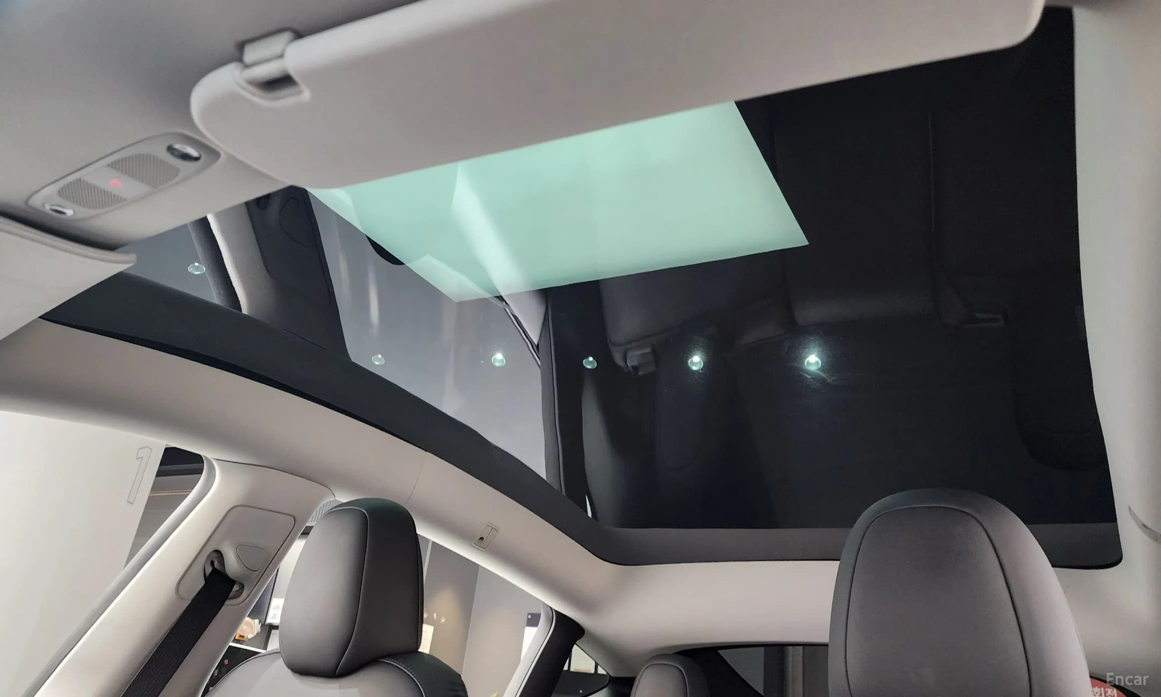 Model Y