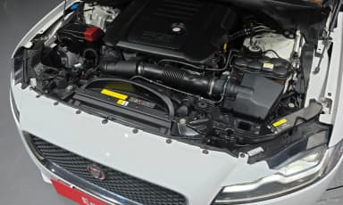 XF (x260)