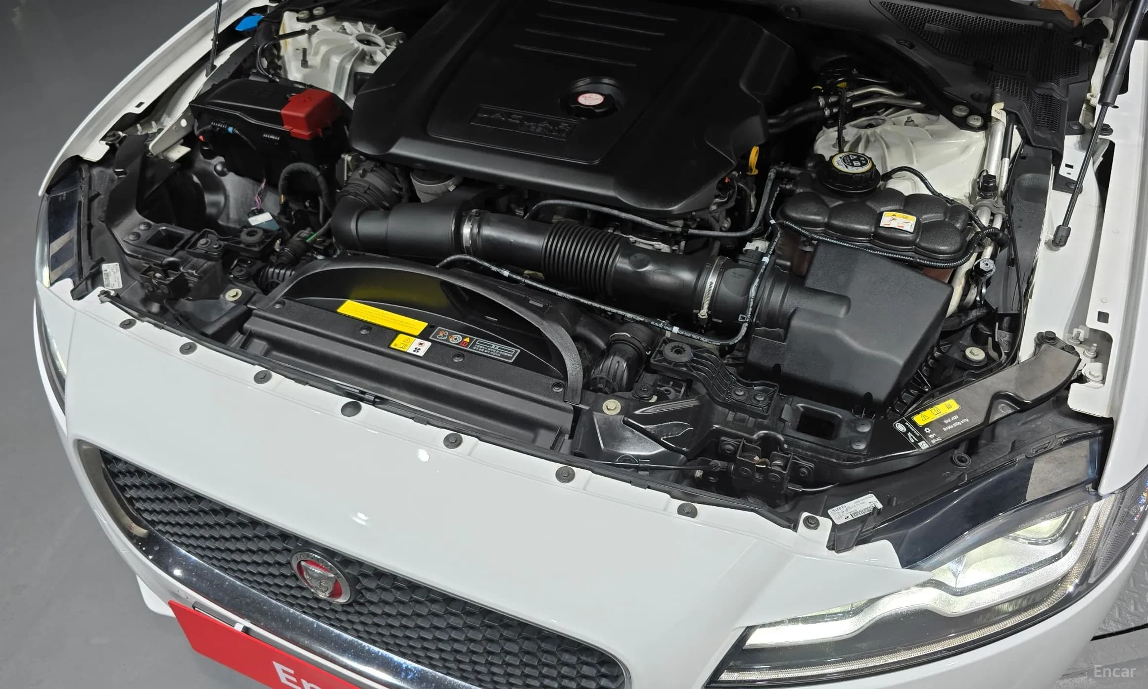XF (x260)