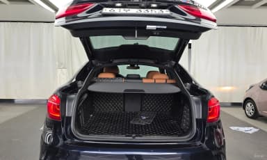 X6 (F16)