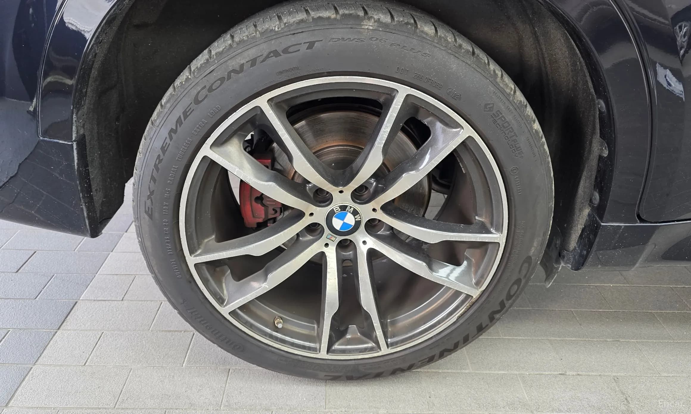 X6 (F16)