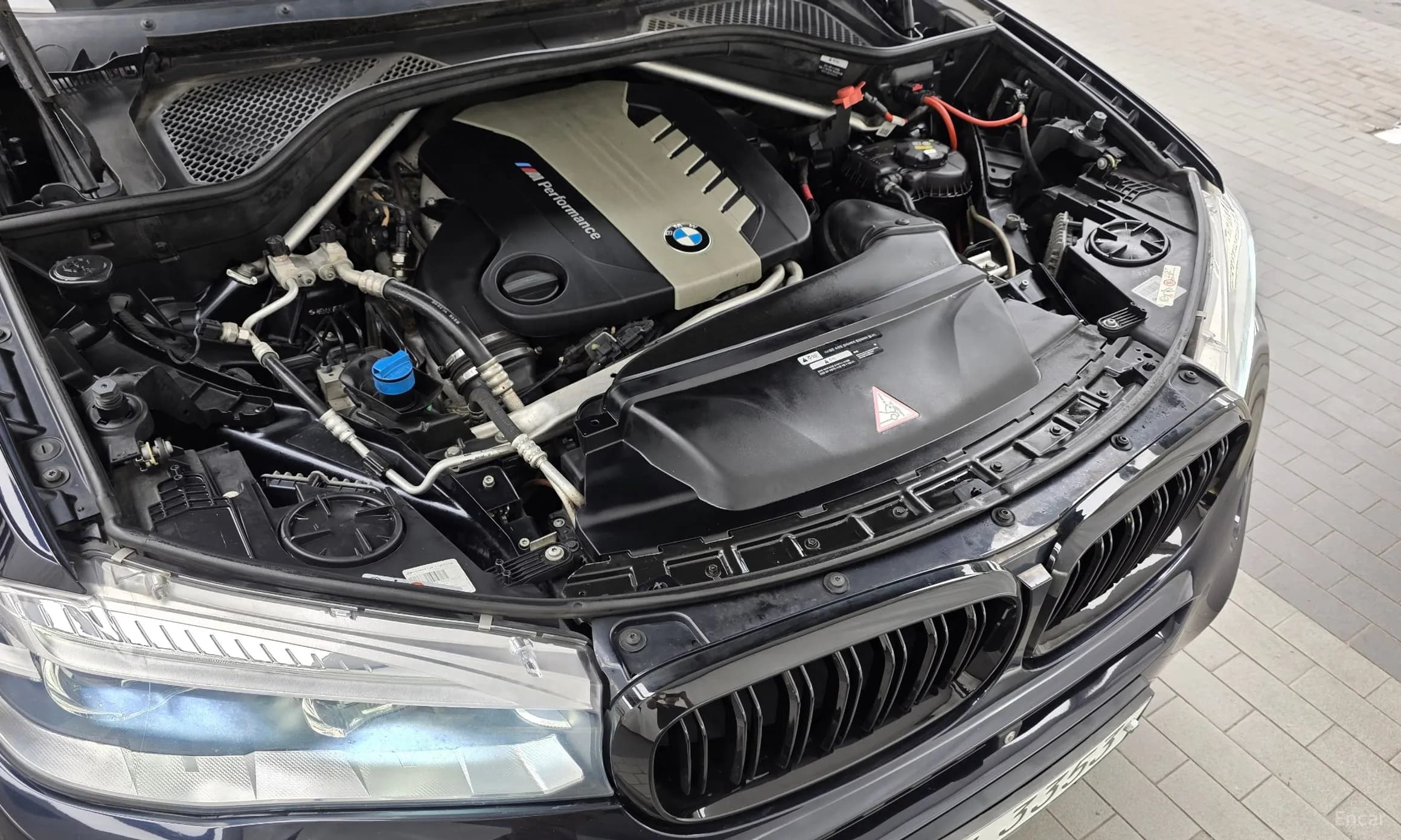 X6 (F16)