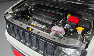 Renegade
