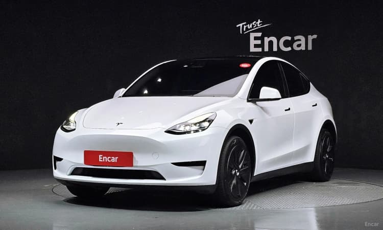 Model Y