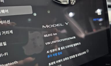 Model Y