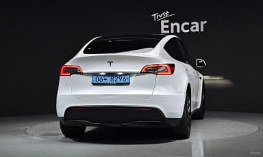 Model Y