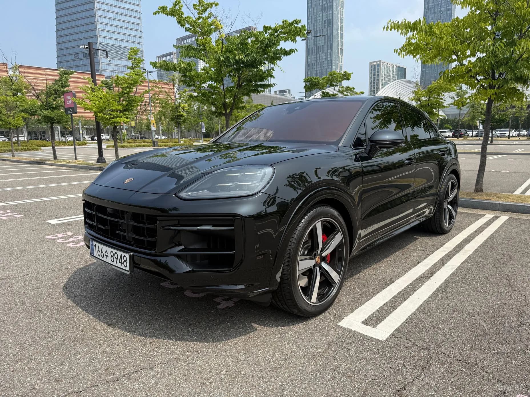 Cayenne (PO536)