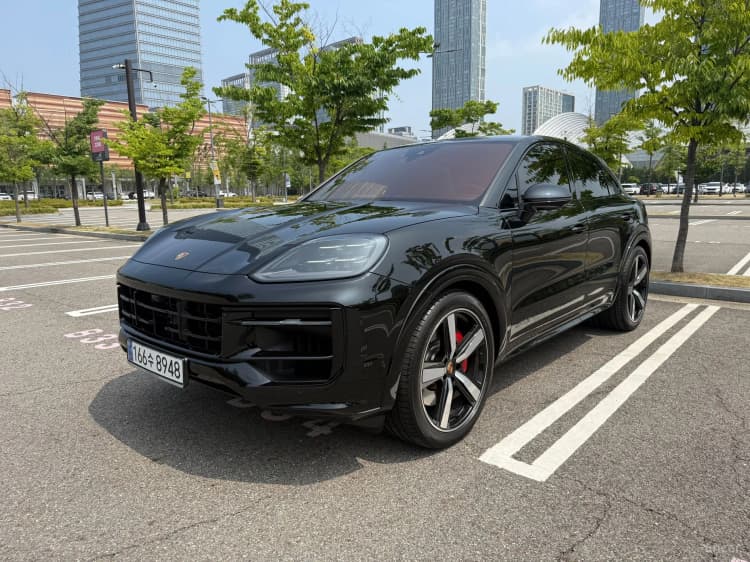 Cayenne (PO536)