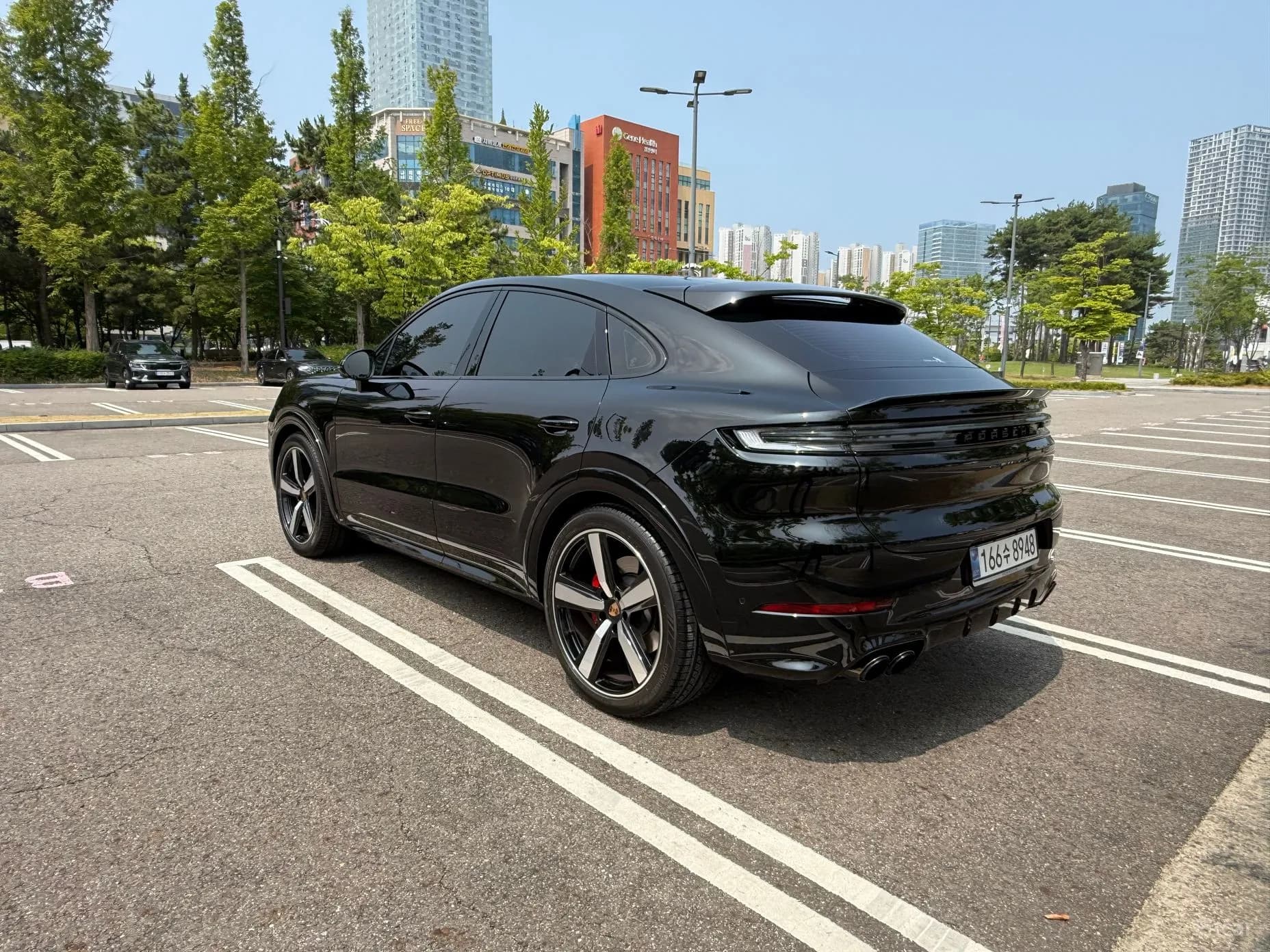 Cayenne (PO536)