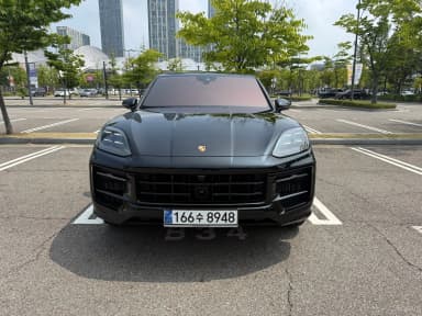 Cayenne (PO536)