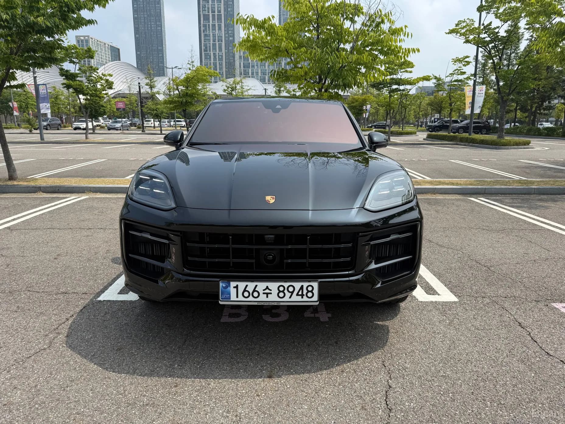 Cayenne (PO536)
