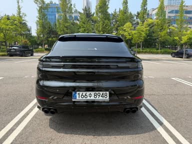Cayenne (PO536)