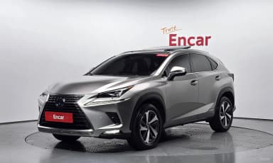NX300h