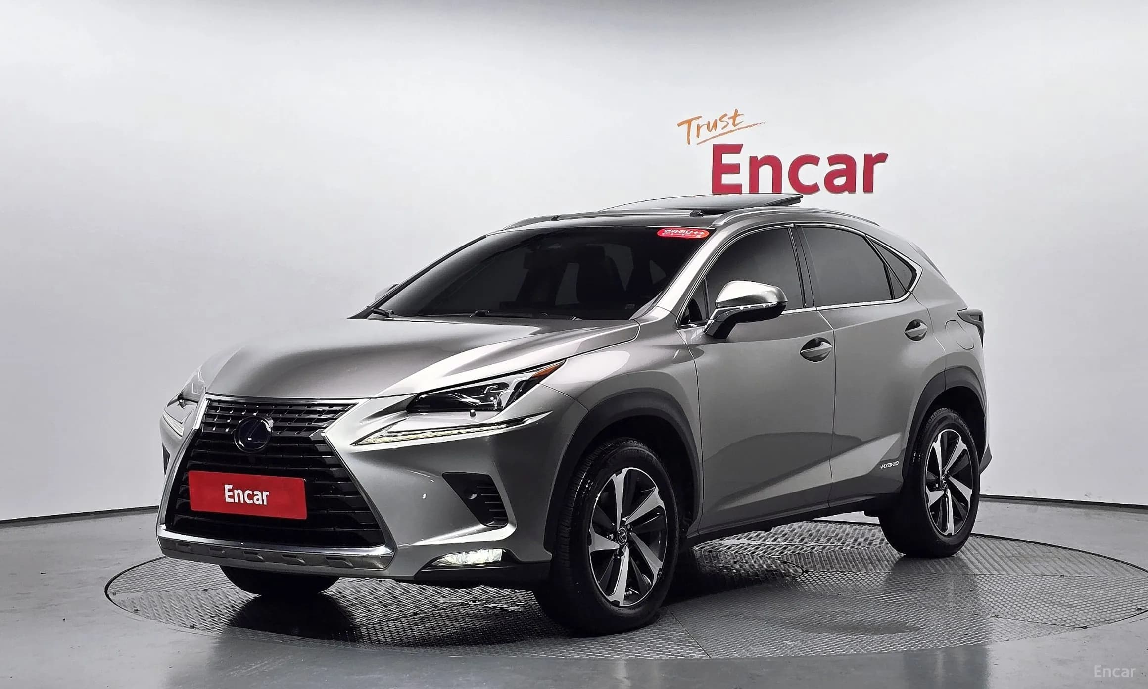 NX300h