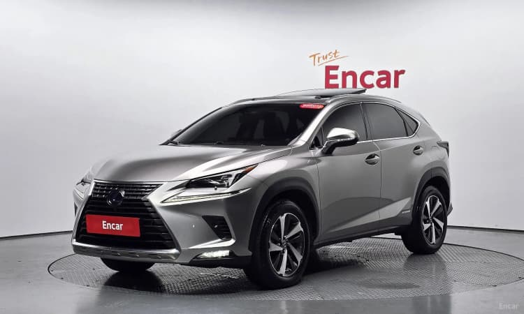 NX300h