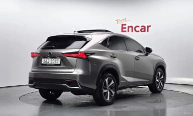 NX300h