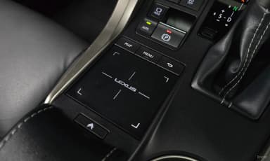 NX300h
