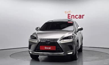 NX300h