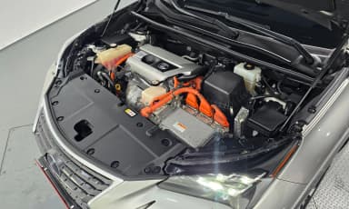 NX300h