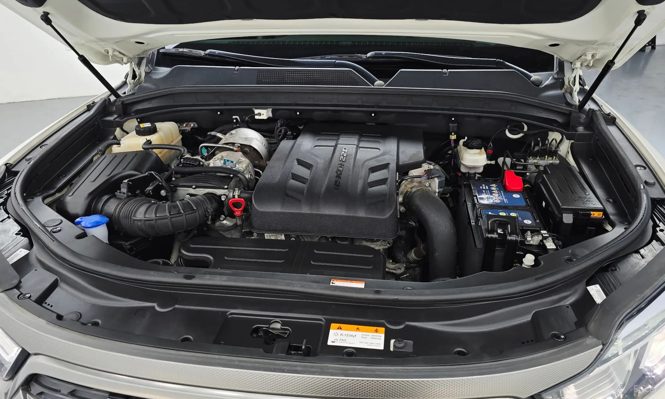 Rexton Sports Khan