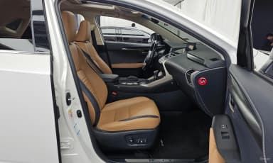 NX300h
