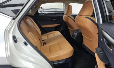 NX300h