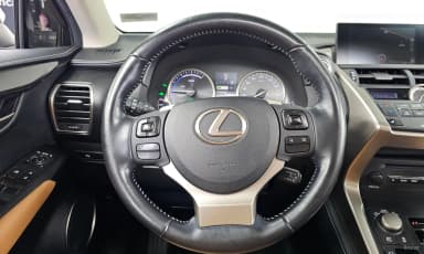 NX300h