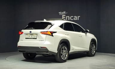 NX300h