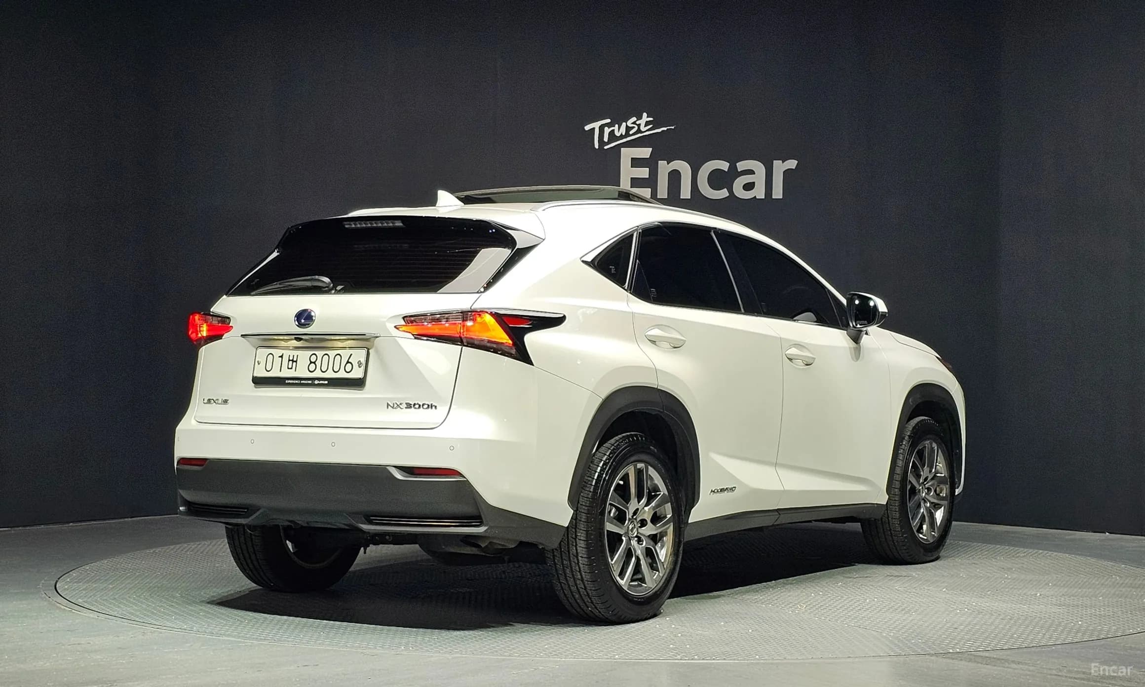 NX300h
