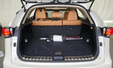 NX300h