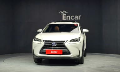 NX300h