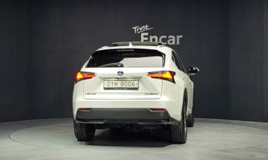NX300h