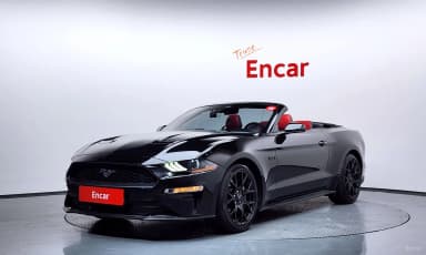 Mustang
