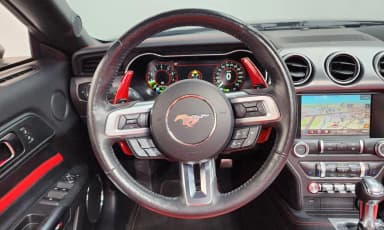 Mustang