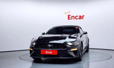 Mustang