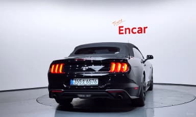 Mustang