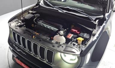 Renegade