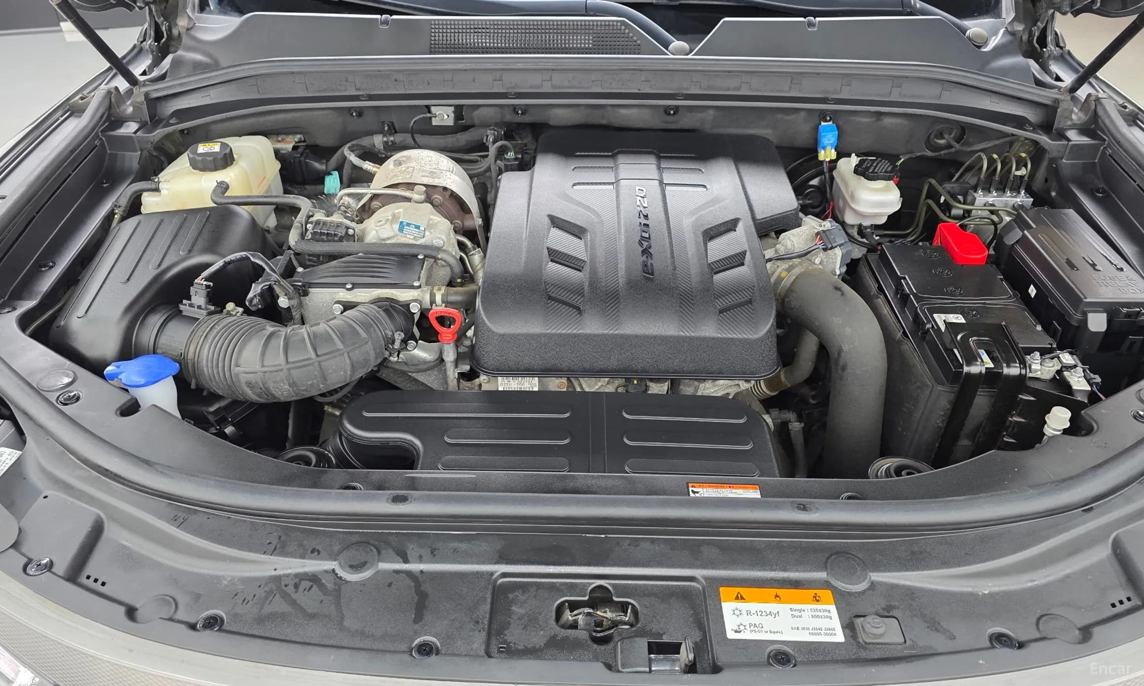Rexton Sports