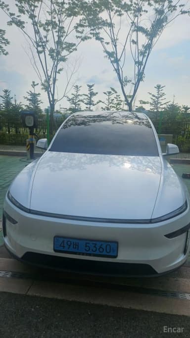 Model Y