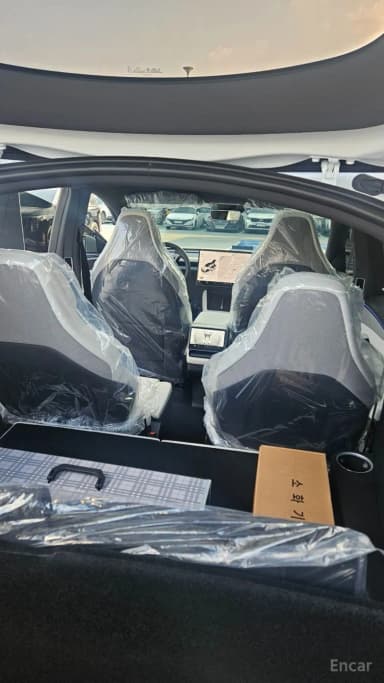 Model Y