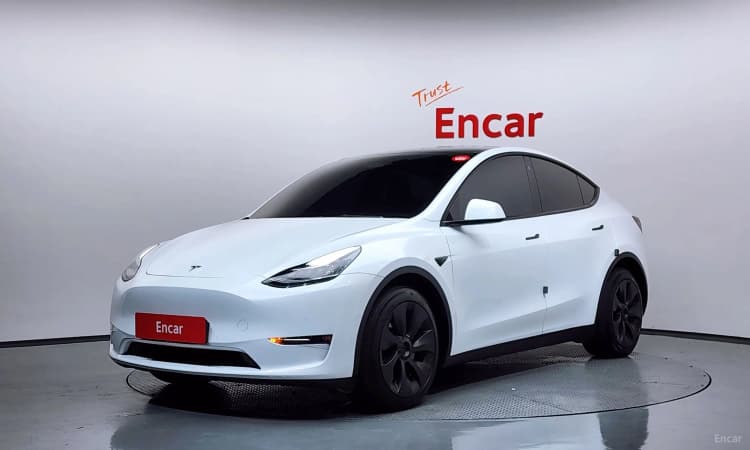 Model Y